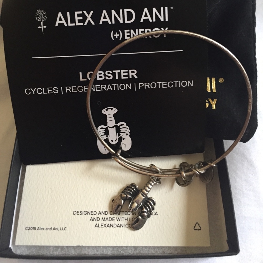 Alex and Ani Bracelet